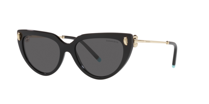 Tiffany Sunglasses TF4195 8001S4