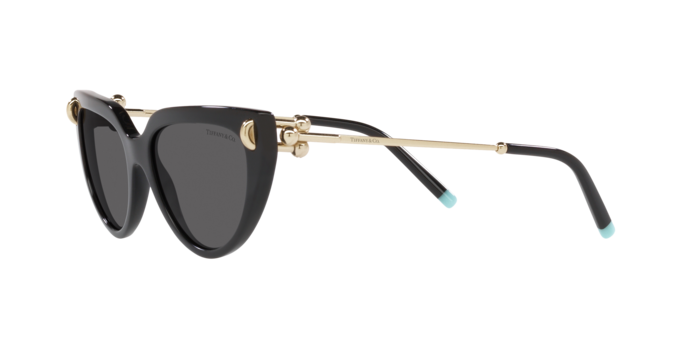 Tiffany Sunglasses TF4195 8001S4