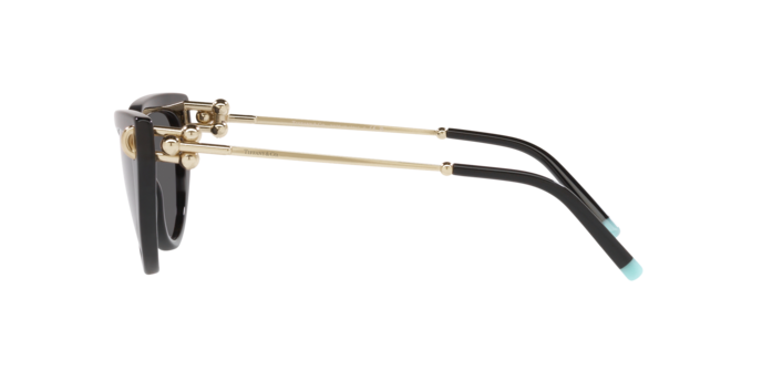 Tiffany Sunglasses TF4195 8001S4