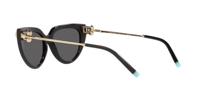 Tiffany Sunglasses TF4195 8001S4