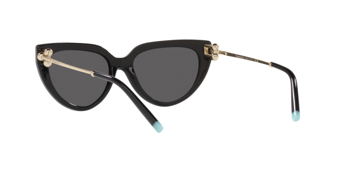 Tiffany Sunglasses TF4195 8001S4