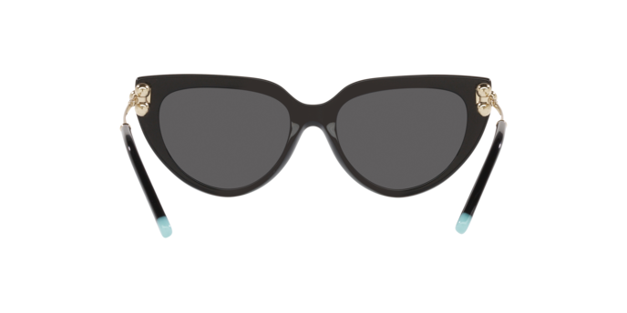 Tiffany Sunglasses TF4195 8001S4