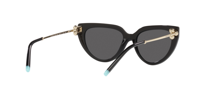 Tiffany Sunglasses TF4195 8001S4