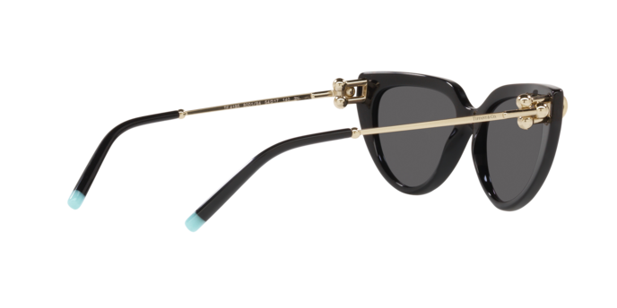 Tiffany Sunglasses TF4195 8001S4