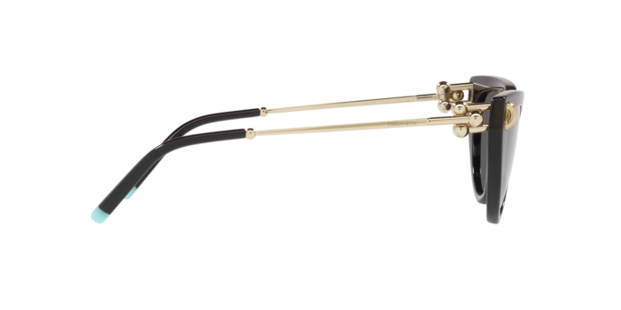 Tiffany Sunglasses TF4195 8001S4