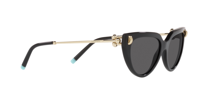 Tiffany Sunglasses TF4195 8001S4