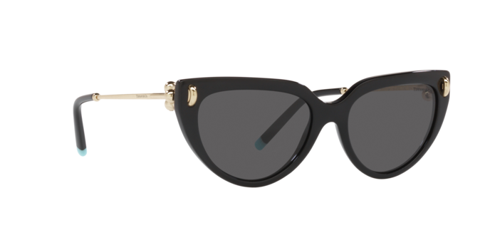 Tiffany Sunglasses TF4195 8001S4