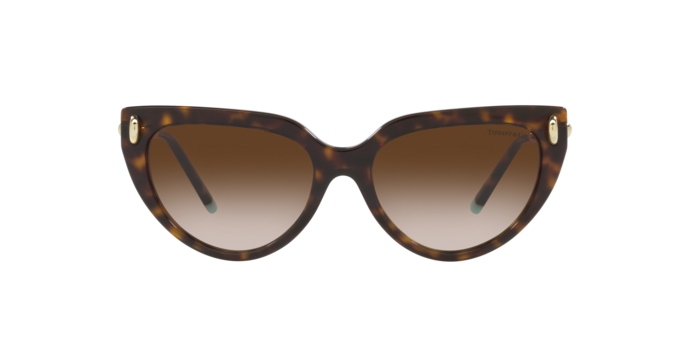 Tiffany Sunglasses TF4195 80153B
