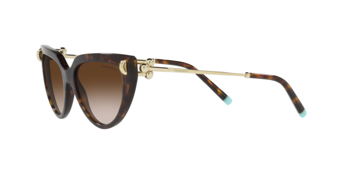 Tiffany Sunglasses TF4195 80153B
