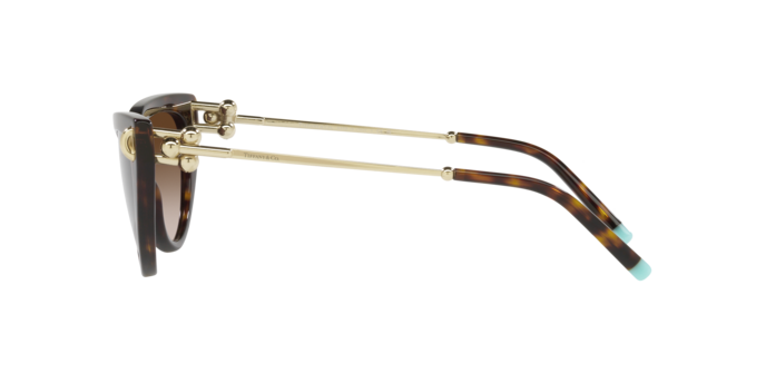 Tiffany Sunglasses TF4195 80153B