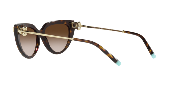 Tiffany Sunglasses TF4195 80153B