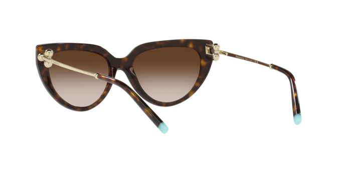 Tiffany Sunglasses TF4195 80153B