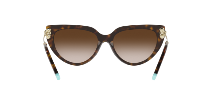 Tiffany Sunglasses TF4195 80153B