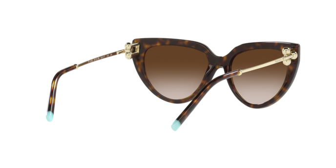 Tiffany Sunglasses TF4195 80153B