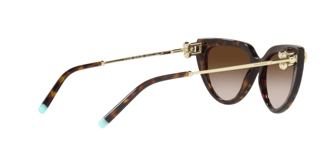 Tiffany Sunglasses TF4195 80153B