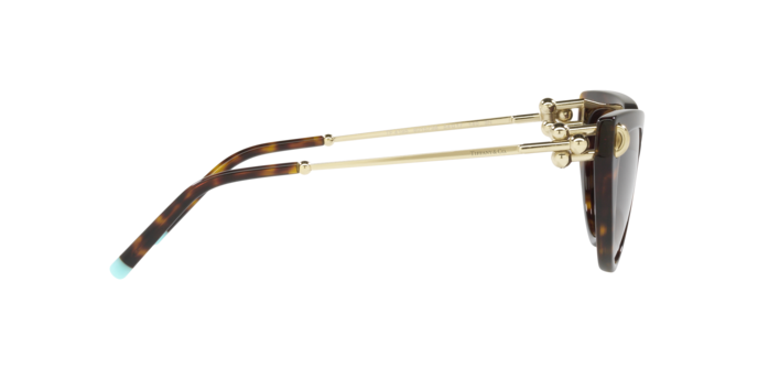 Tiffany Sunglasses TF4195 80153B