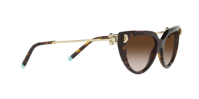 Tiffany Sunglasses TF4195 80153B