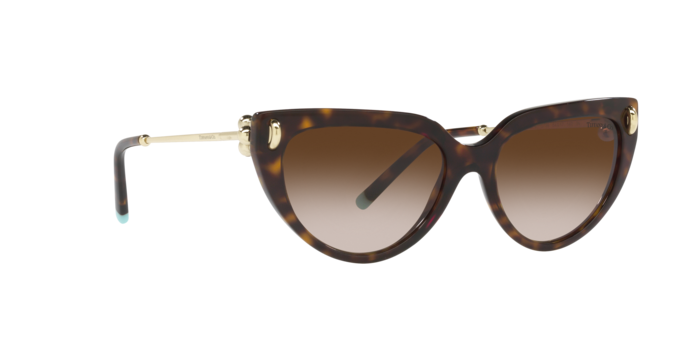 Tiffany Sunglasses TF4195 80153B