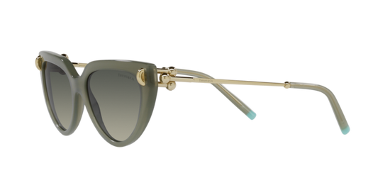 Tiffany Sunglasses TF4195 835811