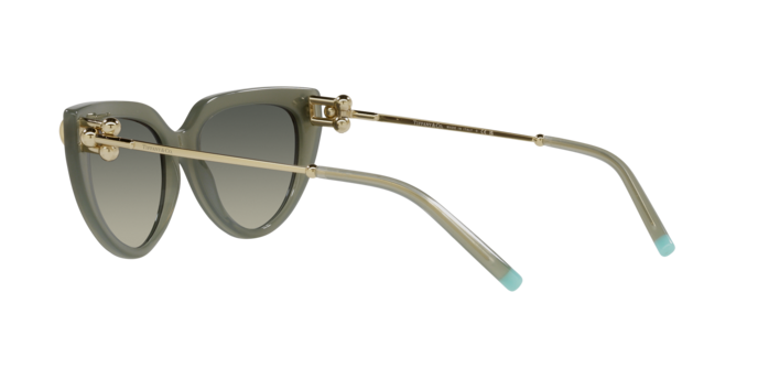 Tiffany Sunglasses TF4195 835811