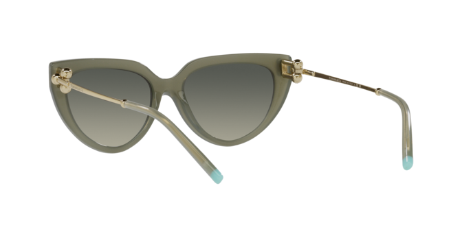 Tiffany Sunglasses TF4195 835811