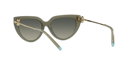 Tiffany Sunglasses TF4195 835811