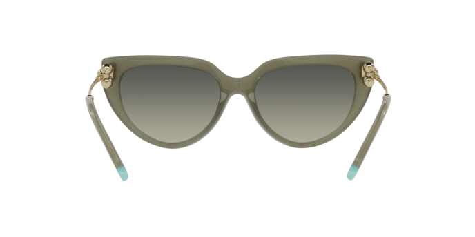 Tiffany Sunglasses TF4195 835811