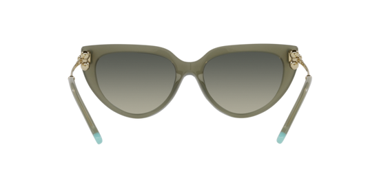 Tiffany Sunglasses TF4195 835811