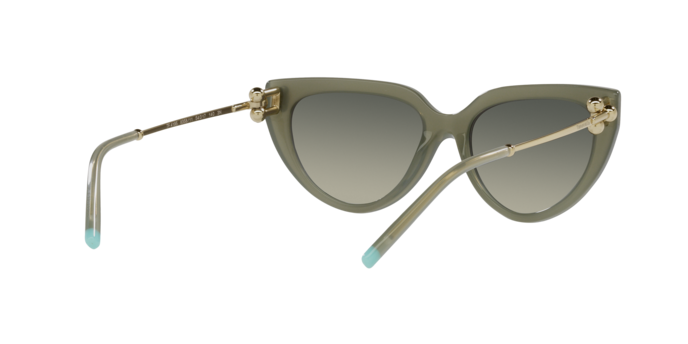 Tiffany Sunglasses TF4195 835811