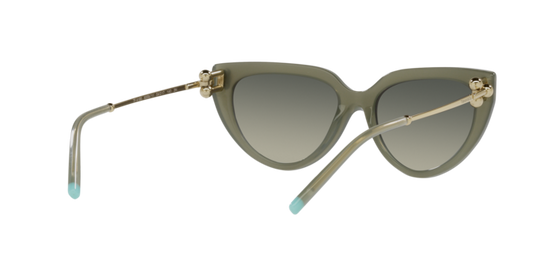 Tiffany Sunglasses TF4195 835811