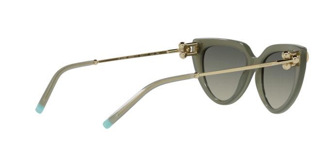 Tiffany Sunglasses TF4195 835811