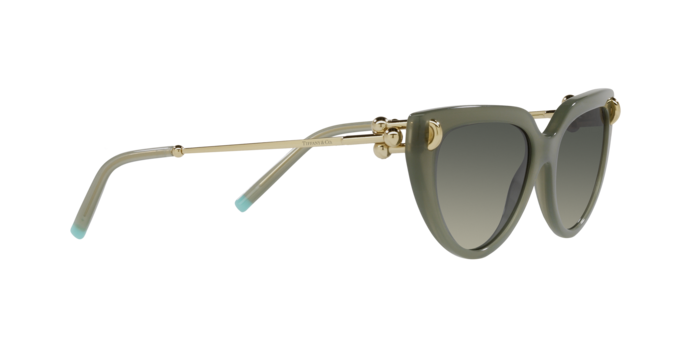 Tiffany Sunglasses TF4195 835811