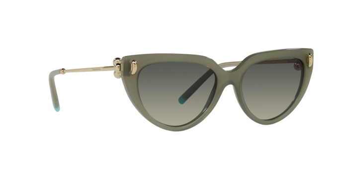 Tiffany Sunglasses TF4195 835811