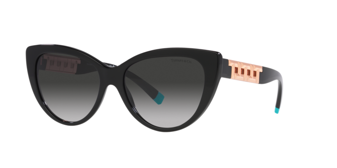 Tiffany Sunglasses TF4196 80013C