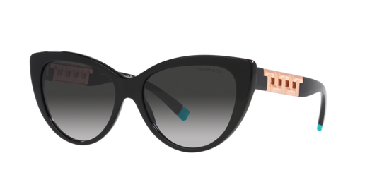 Tiffany Sunglasses TF4196 80013C