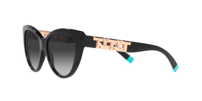 Tiffany Sunglasses TF4196 80013C