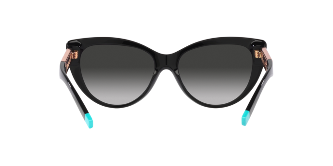 Tiffany Sunglasses TF4196 80013C