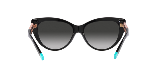 Tiffany Sunglasses TF4196 80013C