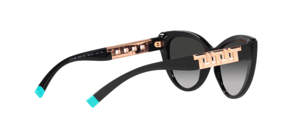 Tiffany Sunglasses TF4196 80013C