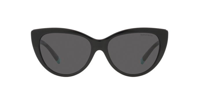 Tiffany Sunglasses TF4196 8001S4
