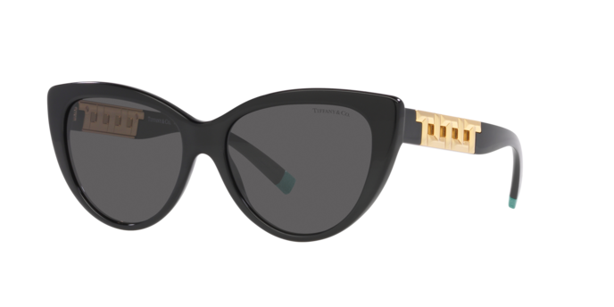 Tiffany Sunglasses TF4196 8001S4