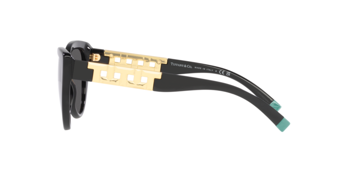 Tiffany Sunglasses TF4196 8001S4