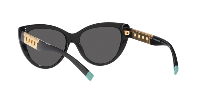 Tiffany Sunglasses TF4196 8001S4