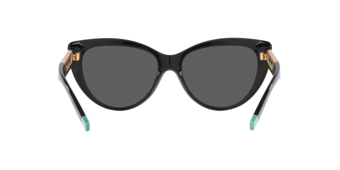 Tiffany Sunglasses TF4196 8001S4