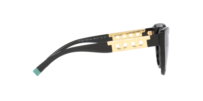 Tiffany Sunglasses TF4196 8001S4