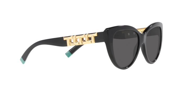 Tiffany Sunglasses TF4196 8001S4