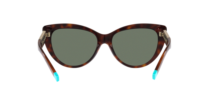 Tiffany TF4196 80023H Havana - Woman Sunglasses – LookerOnline