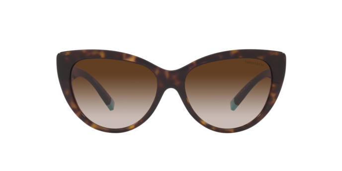 Tiffany Sunglasses TF4196 80153B