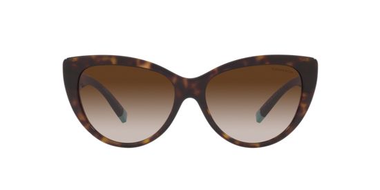 Tiffany Sunglasses TF4196 80153B