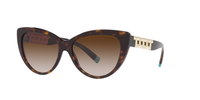 Tiffany Sunglasses TF4196 80153B